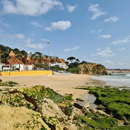 Vista Ondas