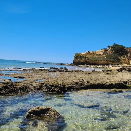 Vista Ondas